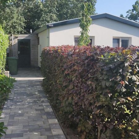 Vakantiebungalow Texel Де-Коксдорп Екстер'єр фото