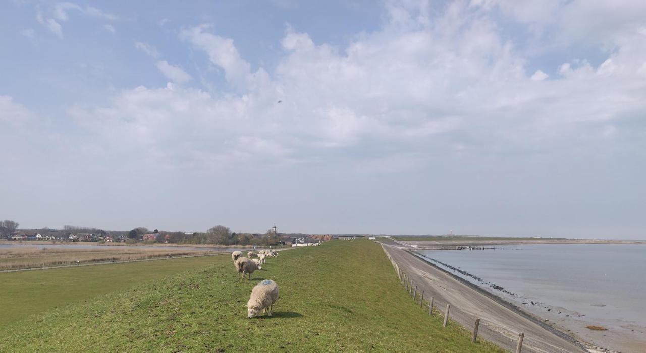 Vakantiebungalow Texel Де-Коксдорп Екстер'єр фото