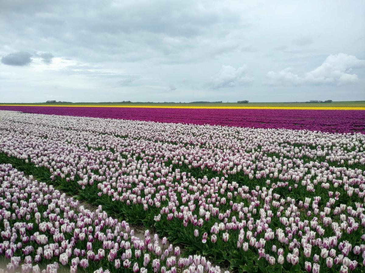 Vakantiebungalow Texel Де-Коксдорп Екстер'єр фото