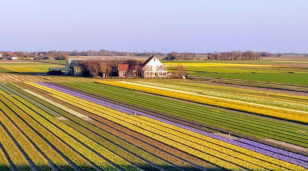Vakantiebungalow Texel Де-Коксдорп Екстер'єр фото