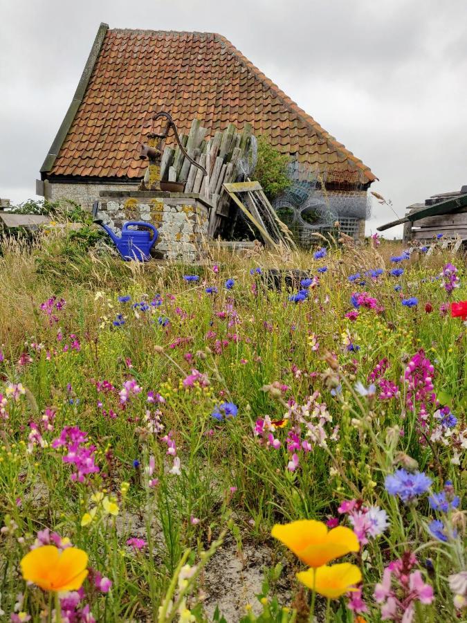 Vakantiebungalow Texel Де-Коксдорп Екстер'єр фото