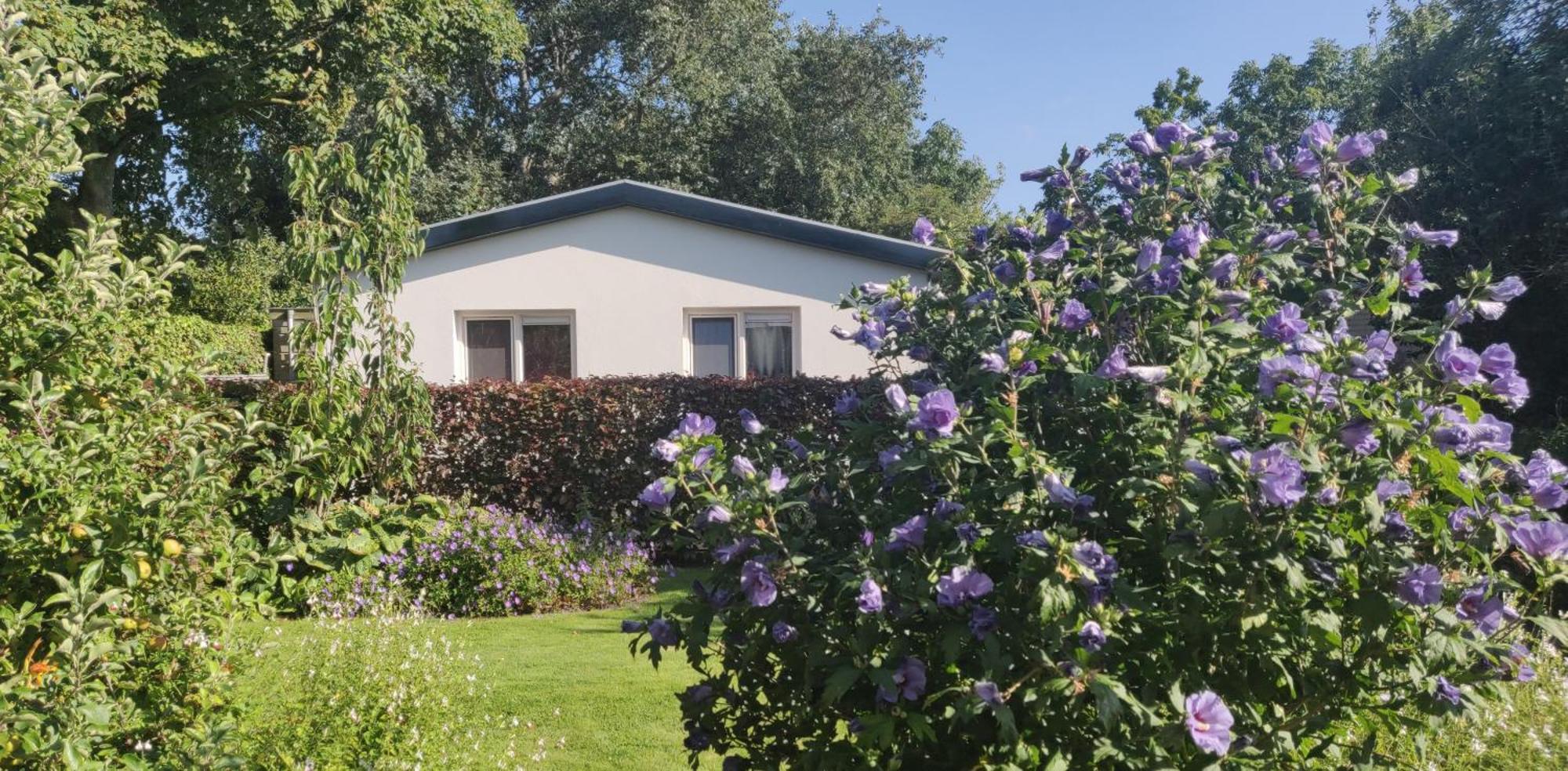 Vakantiebungalow Texel Де-Коксдорп Екстер'єр фото